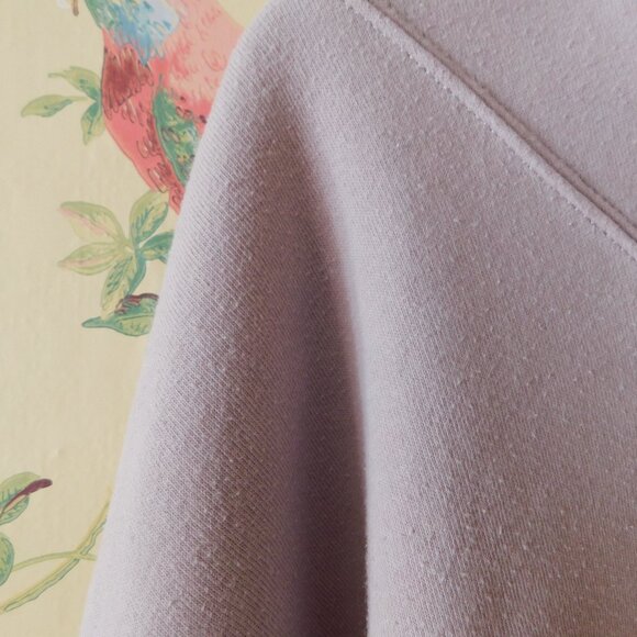 🦅 American Eagle Dusty Pink Sweatshirt - Picture 6 of 12